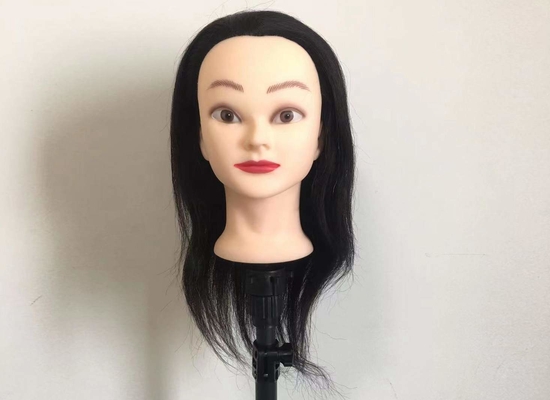 China 100% natural barber hairdressering training mannequin dummy manikin heads with human hair Customized for the USA supplier