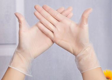 China Disposable pvc dotted gloves  Hair dye protective/care hand hair salon vinyl/pvc gloves supplier