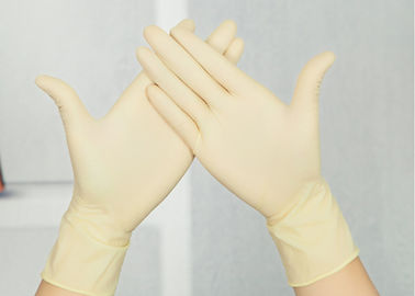 China Disposable medical latex gloves / surgical gloves / examination gloves supplier