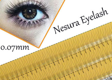 China Pro Natural C Curl 0.12mm 8/10/12mm Black Individual False Eyelashes 3d 4d 5d Silk Eyelash supplier