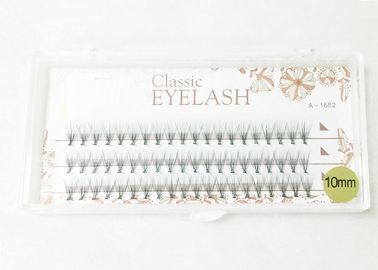 China 4 Cases 8/10/12/13 Mm Individual Flare False Eyelashes 10 Hairs / Cluster False Eyelashes supplier