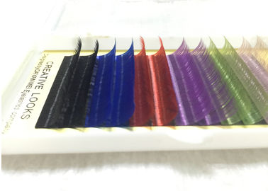 China Color Rainbow Eyelash Extensions 0.07 False Eyelash Set Individual supplier