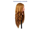 Professional Female 100% Human Hair Mannequins Head  Manikins Head For Beginner Students supplier