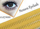 Pro Natural C Curl 0.12mm 8/10/12mm Black Individual False Eyelashes 3d 4d 5d Silk Eyelash supplier