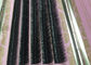 False Eyelashes J B C D Curl Real Eyelash Extensions Length Grafting Eyelash mink supplier